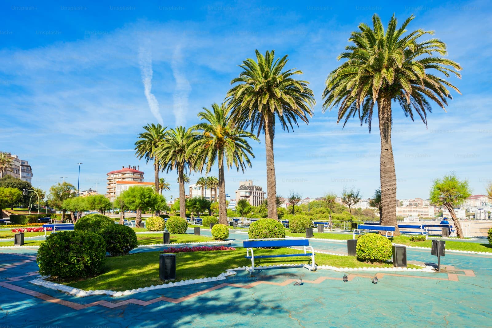 Sunny Mediterranean park with palm trees, manicured lawns, benches and water feature under blue sky