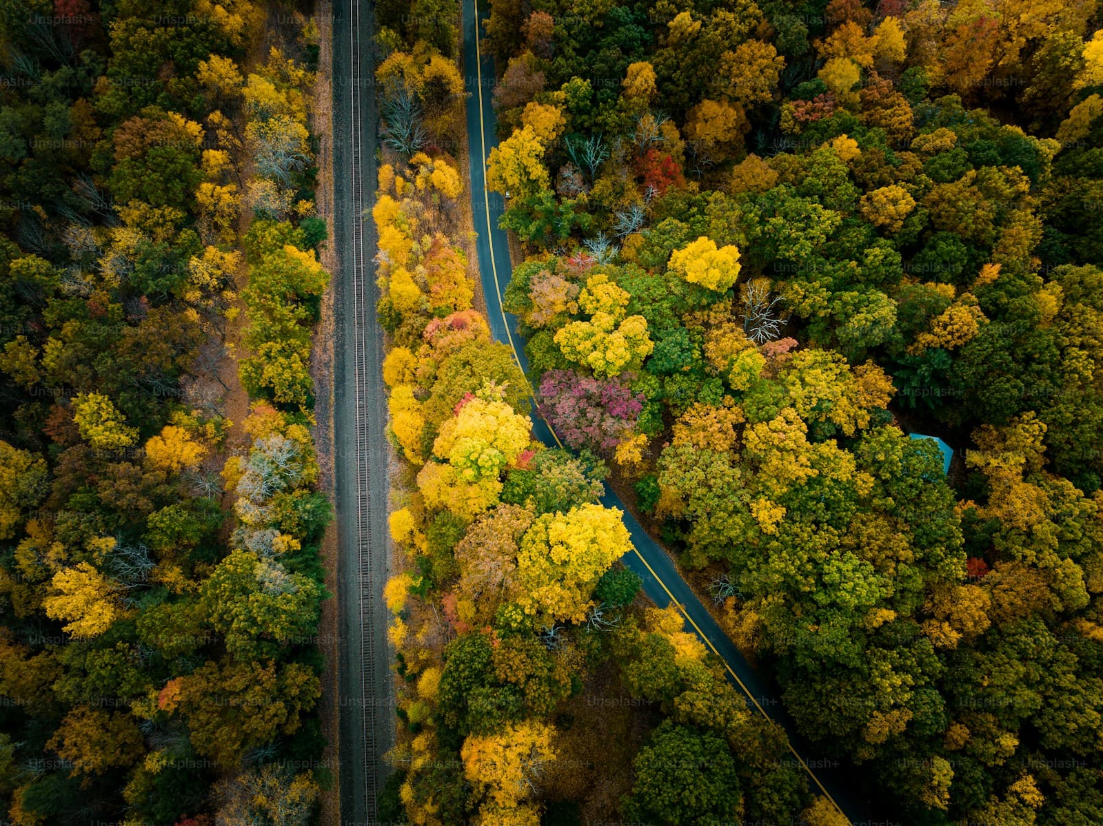 Aerial view of a winding road through vibrant autumn forest with golden and orange fall foliage