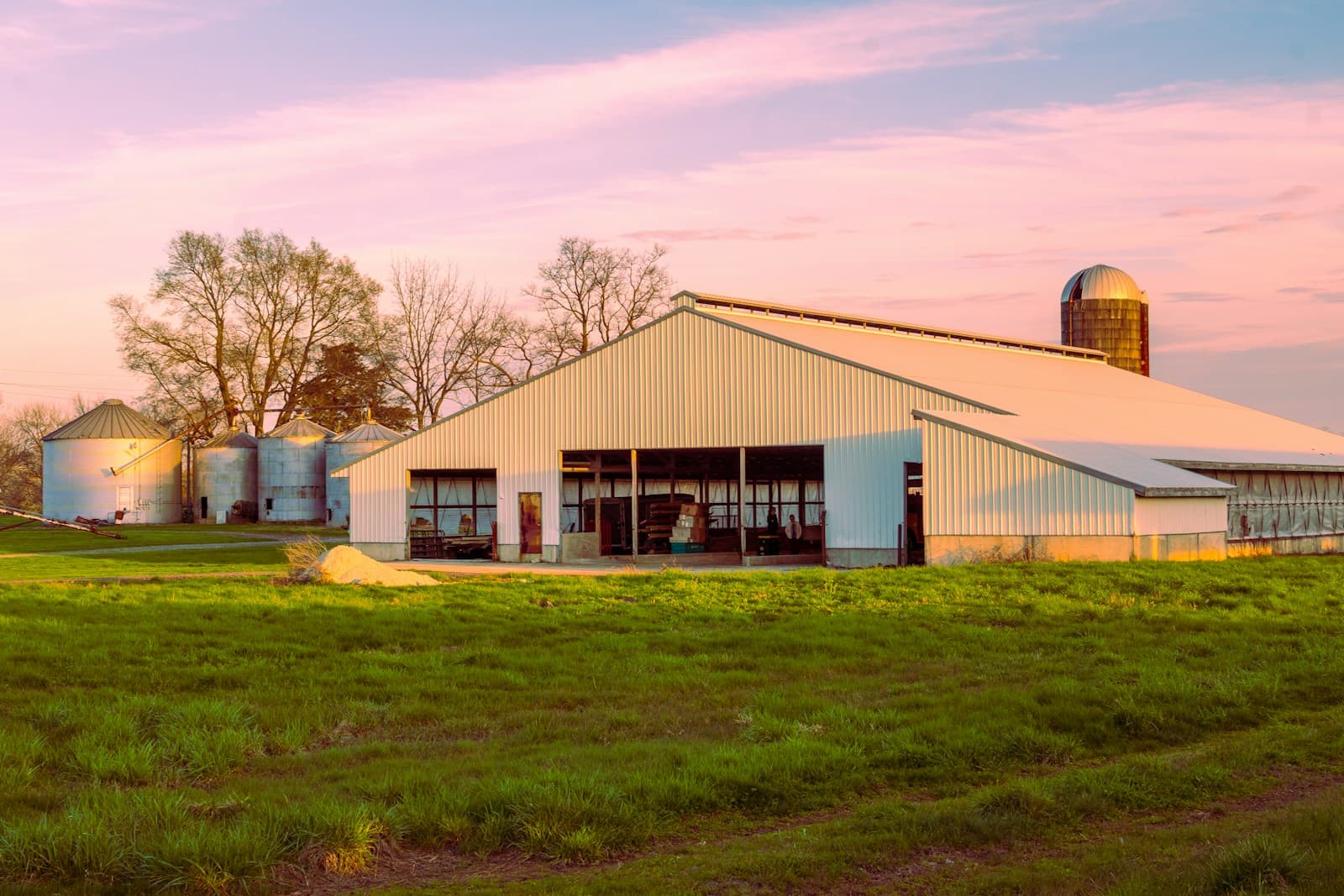 Modern farm building with silos in green field under pink sunset sky