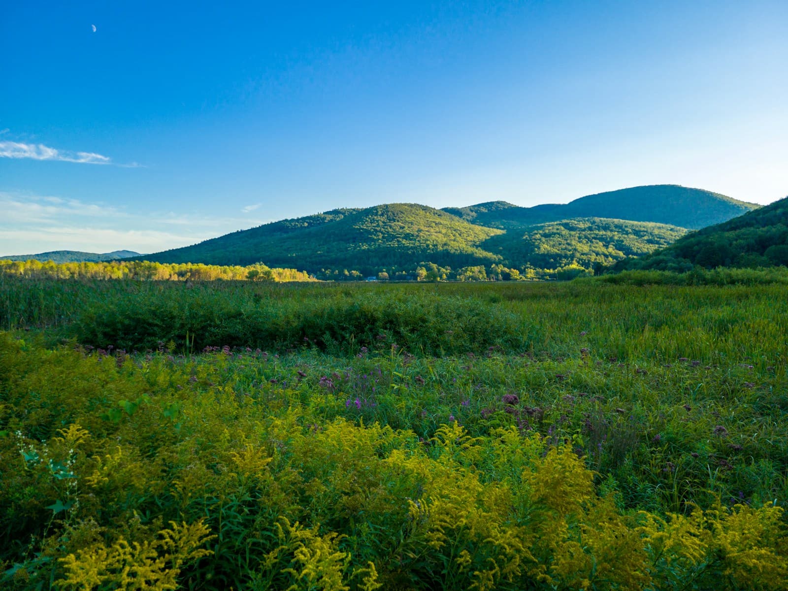 Rolling green hills and mountains under blue sky with lush meadows in foreground