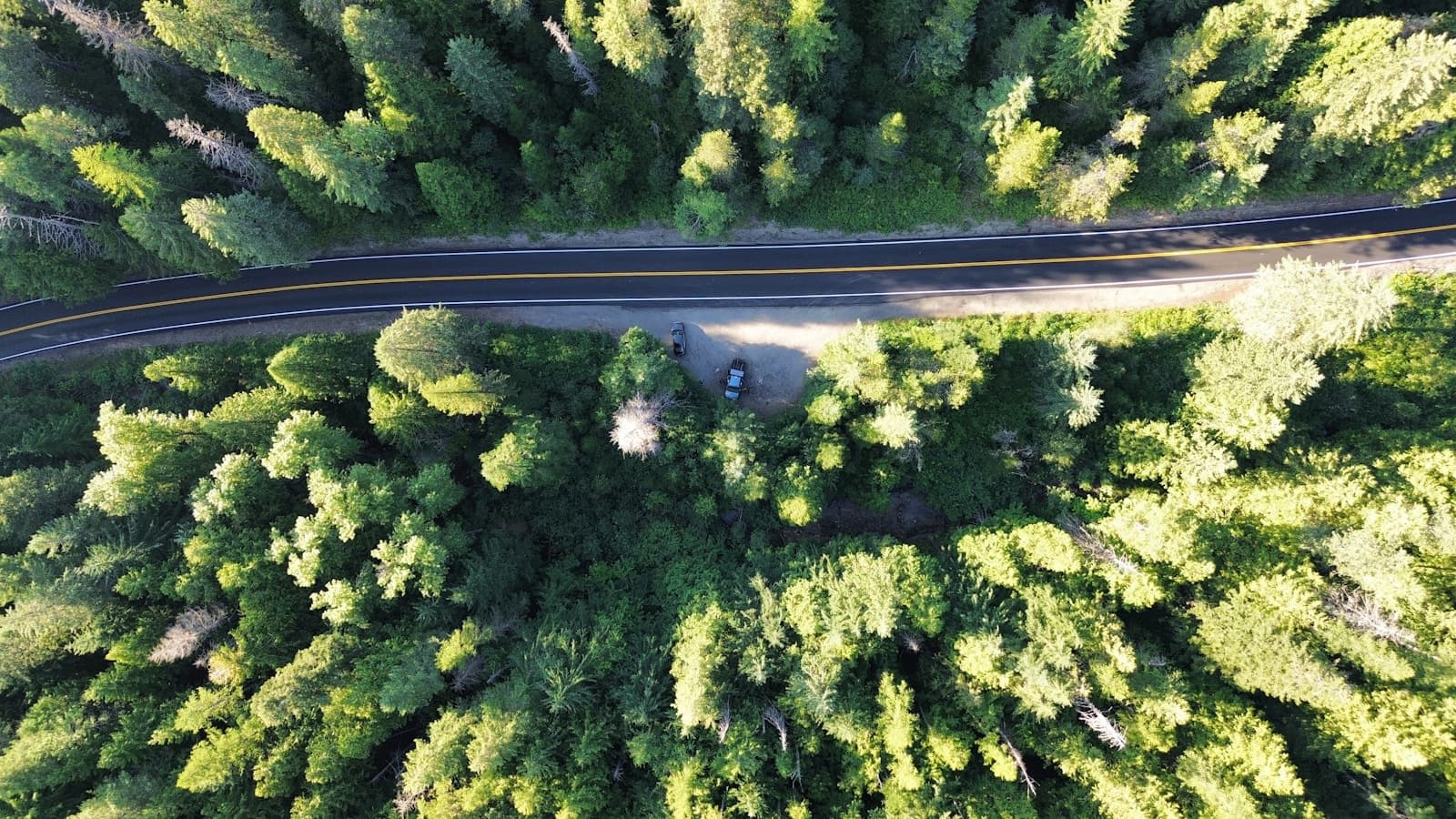 Aerial view of a straight road cutting through dense green forest with one car on it