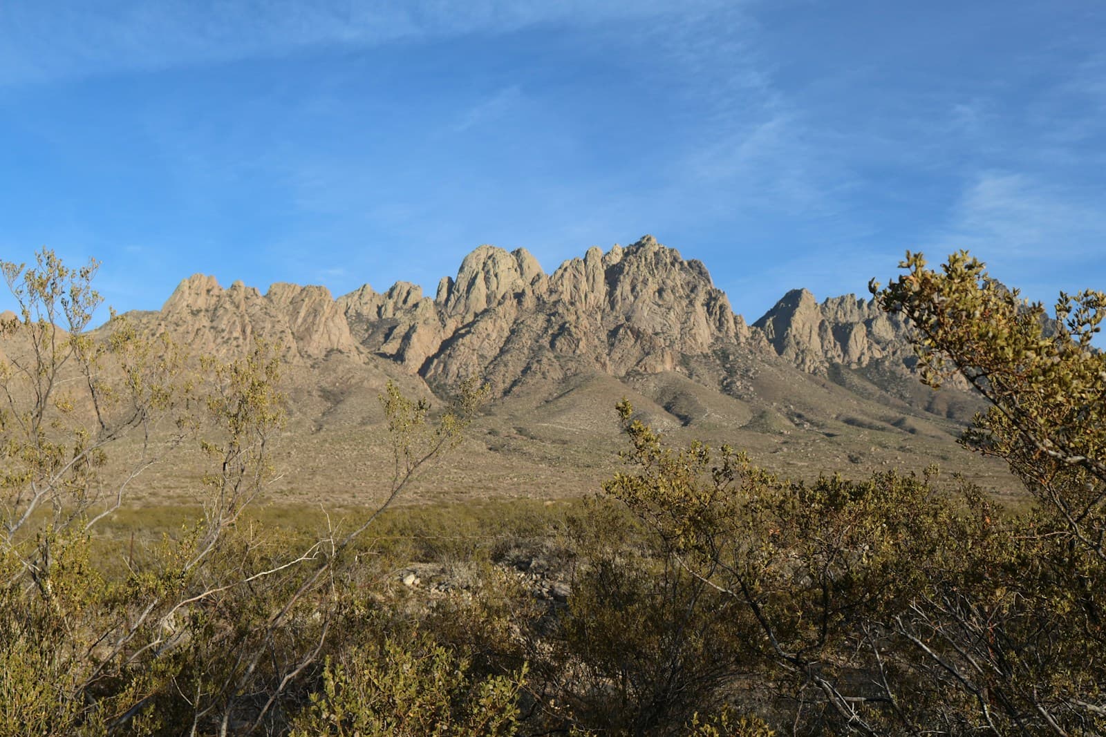 Las Cruces, New Mexico cityscape and street view
