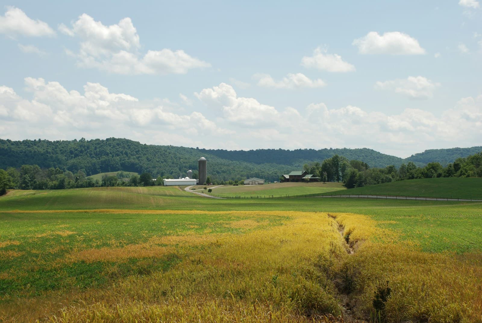 Rural farm landscape with golden crop fields, rolling hills, farm buildings and silo under cloudy sky
