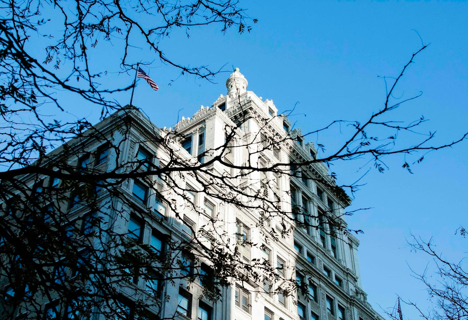 Ornate historic building shot from below through bare tree branches against blue sky