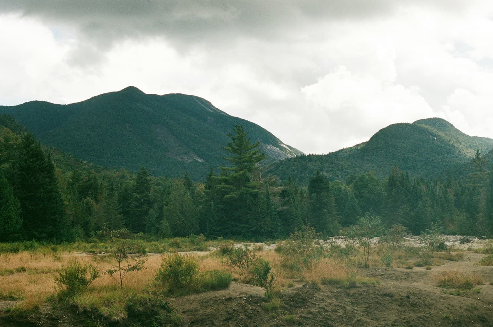 Mountain landscape with forested hills, grassy meadow in foreground, and cloudy sky