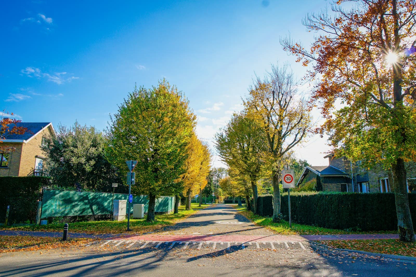 Quiet suburban street lined with autumn trees showing fall colors under blue sky