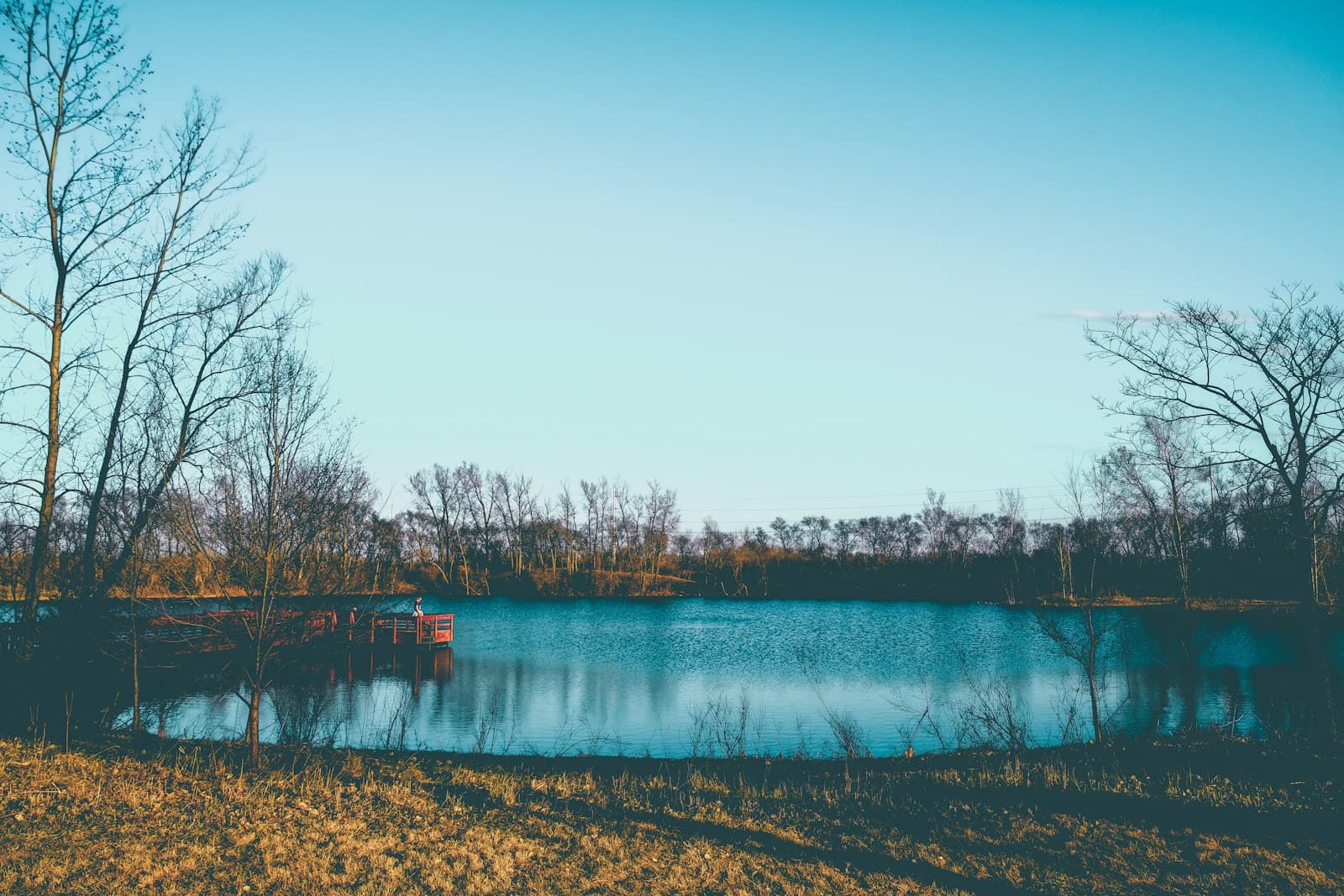 Peaceful lake surrounded by bare trees under blue sky in winter landscape
